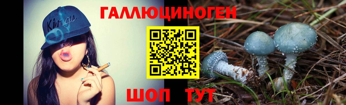 Галлюциногенные грибы прущие грибы Дзержинский